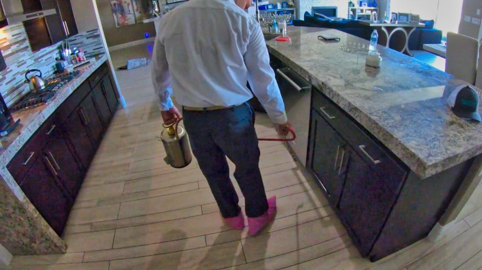 Pest Maintenance and Prevention Services in Las Vegas Progressive