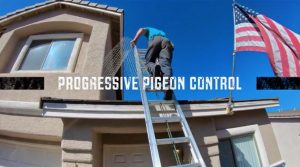 Progressive Pigeon Control